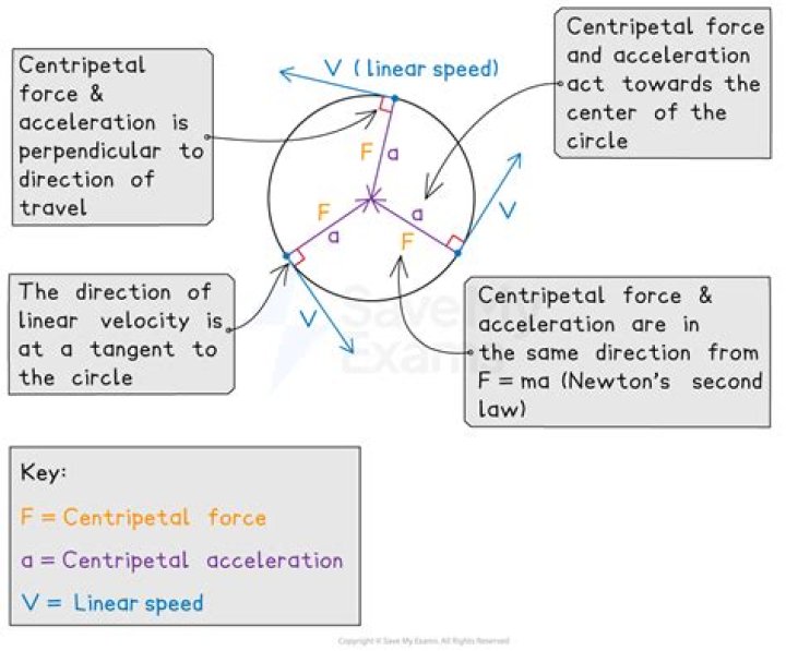 How do you find the force of centripetal friction?