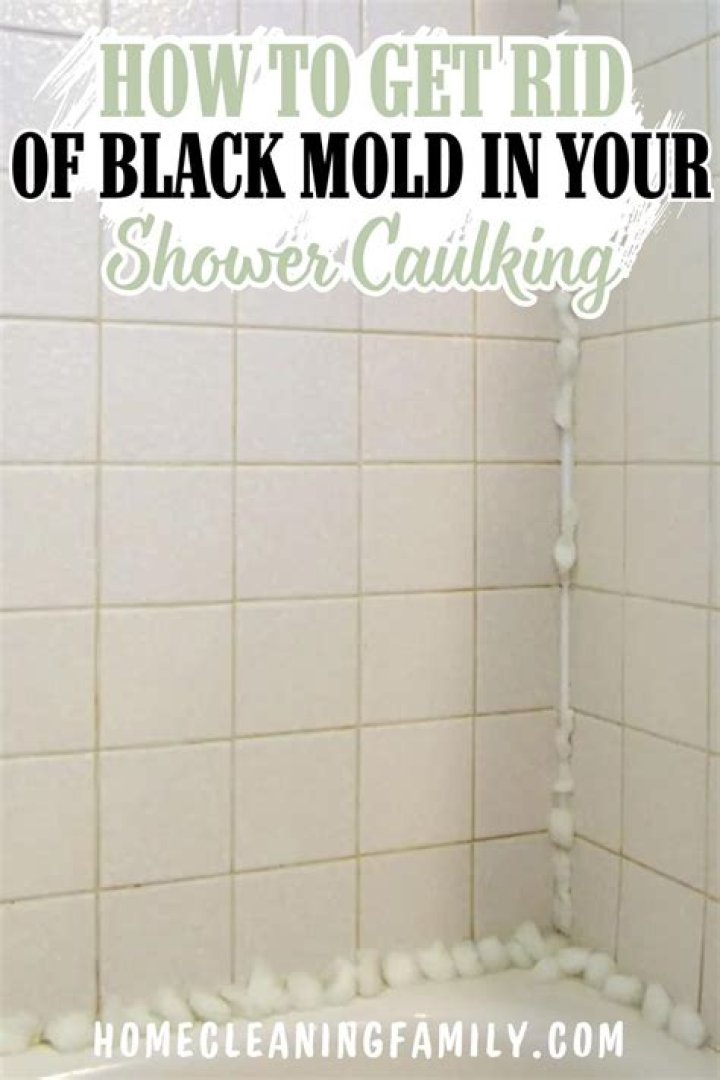 How do you get black mold out of shower grout?