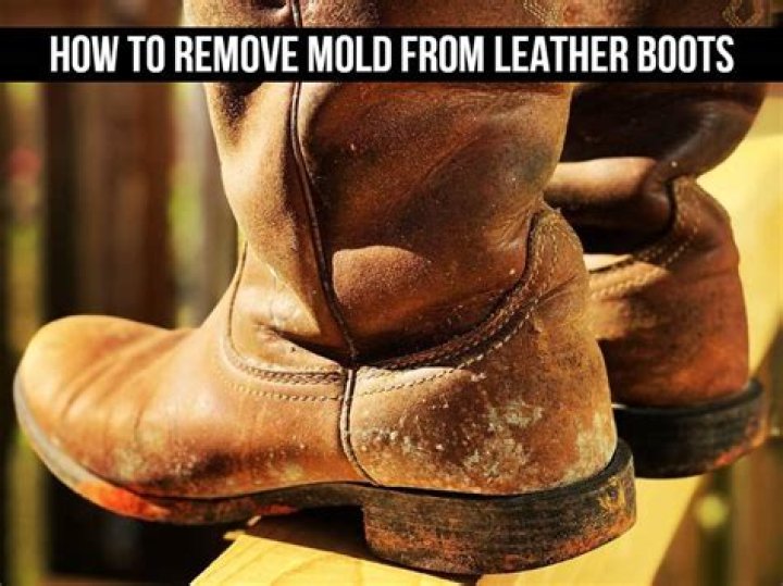 How do you get mildew off leather boots?