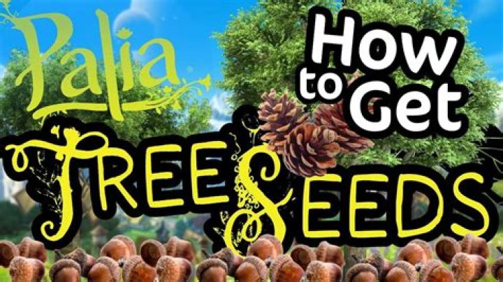How do you get tree seeds