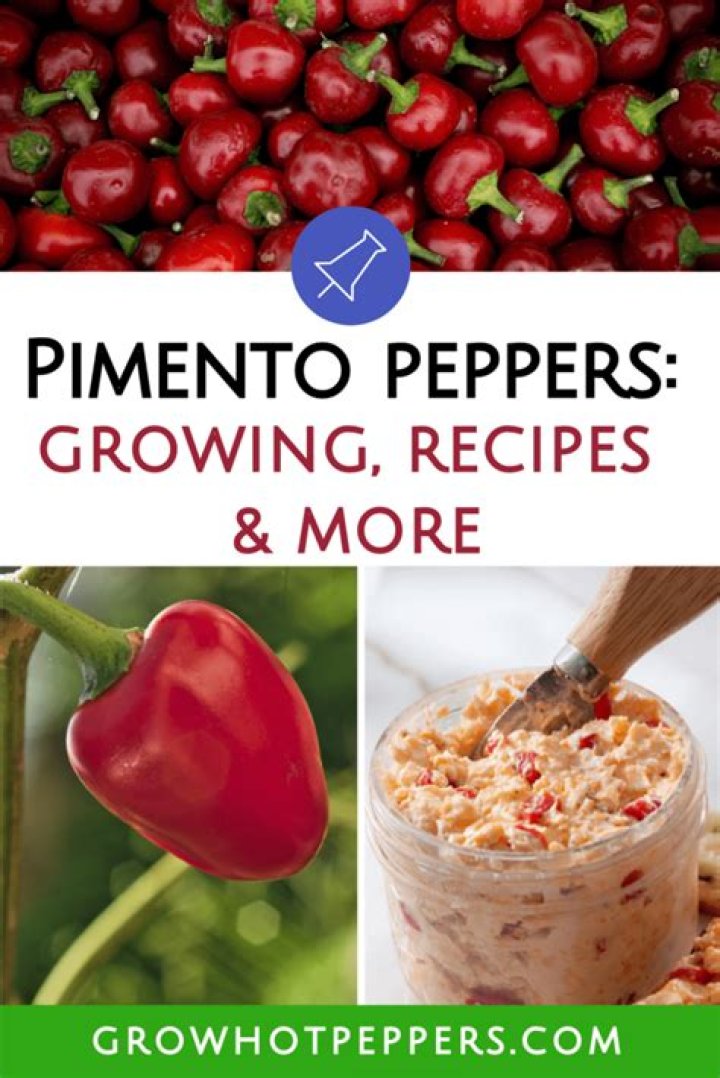How do you grow pimento