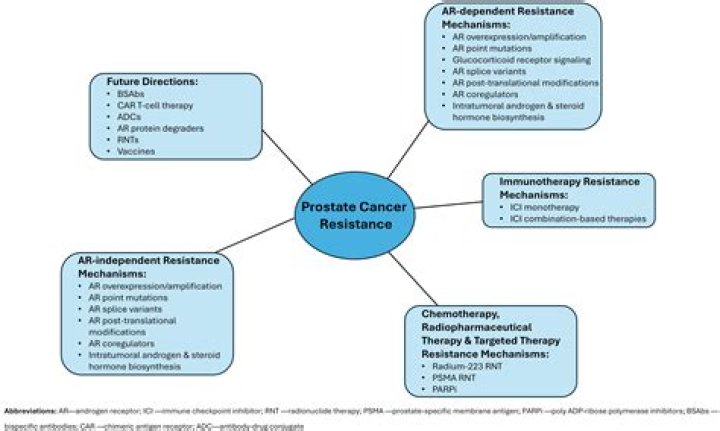 How do you know if prostate cancer is castrate resistant?