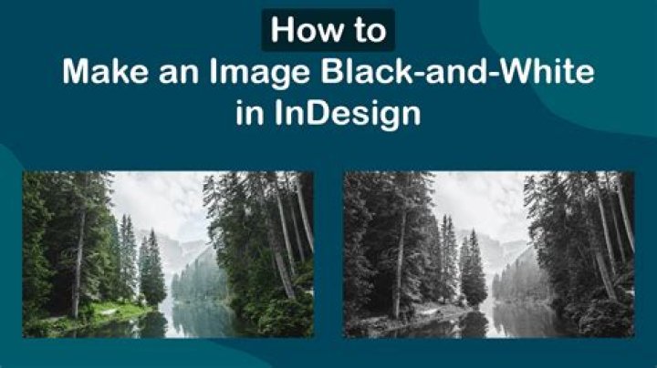 How do you make an Image black and white on ImageJ?
