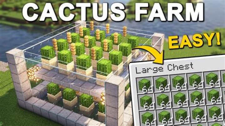 How do you make cactus pads