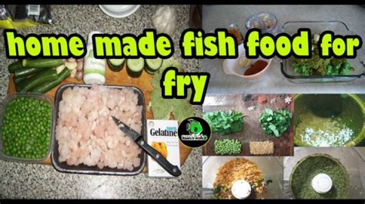 How do you make homemade fish food?