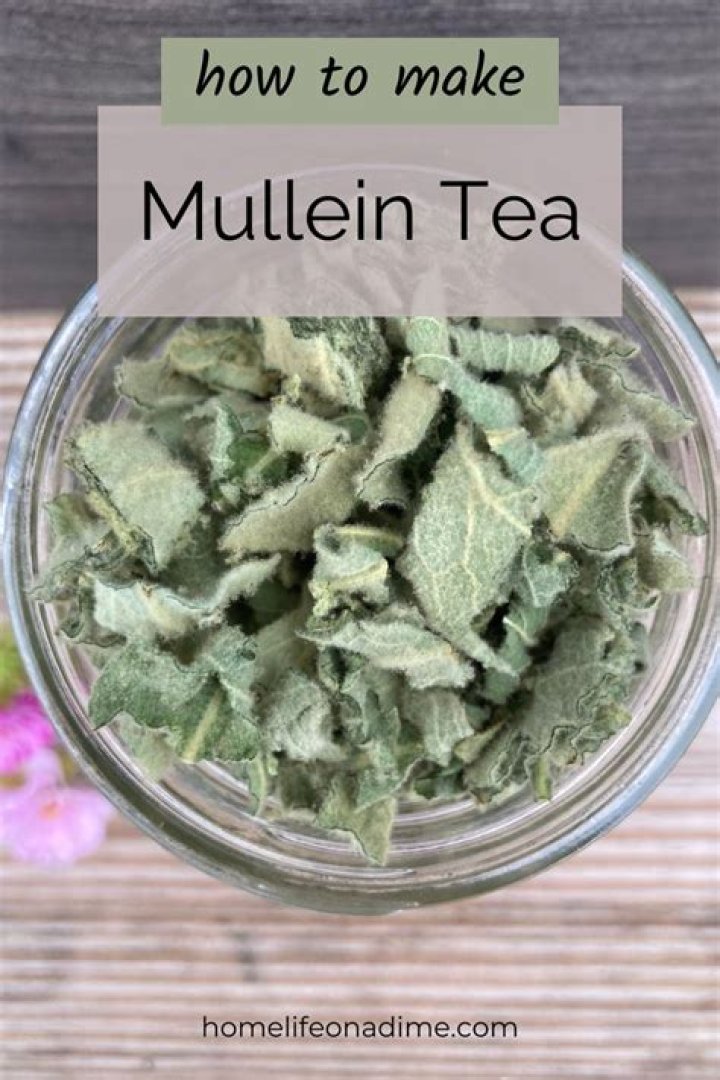 How do you make tea from mullein