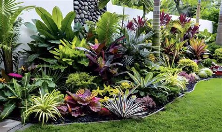 How do you organize a tropical garden?