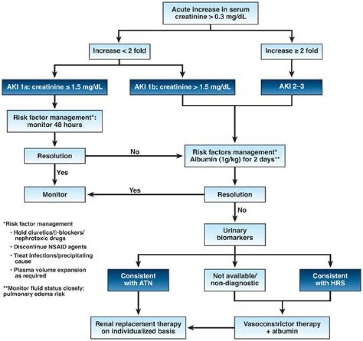 How do you treat nocardiosis?