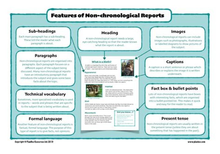 How do you write a non-chronological report ks1?