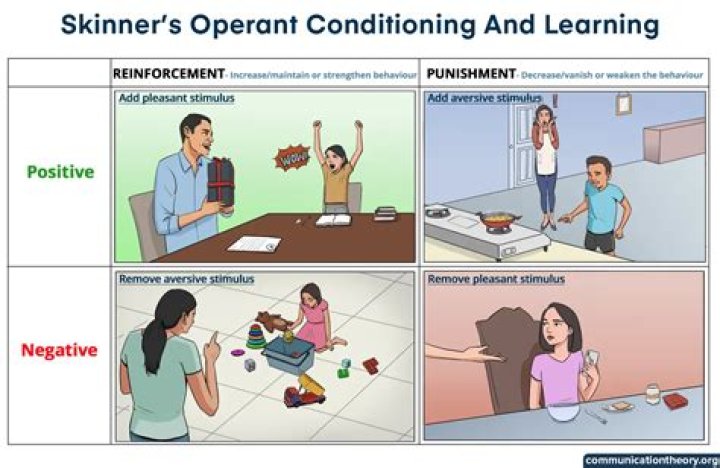 How does a Skinner box work in operant conditioning