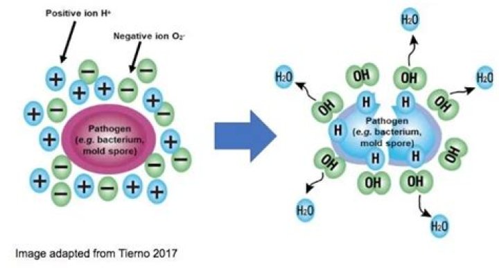 How does pool ionization work