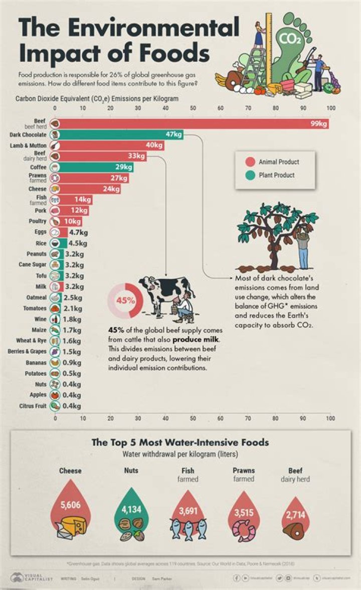 How does religion impact on food choices
