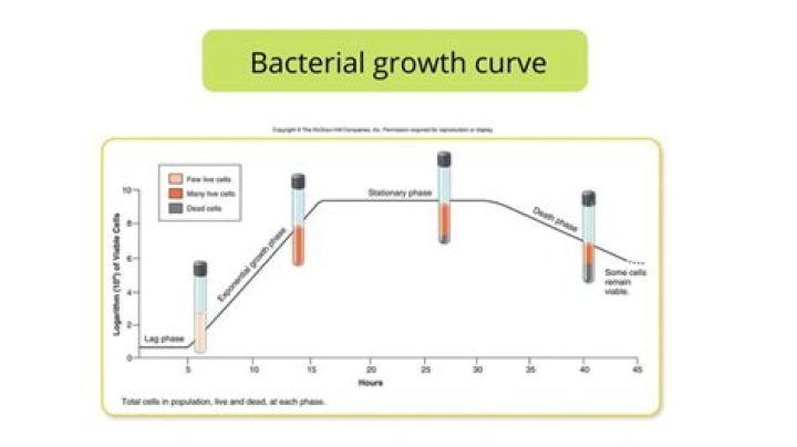 How does sugar affect bacterial growth