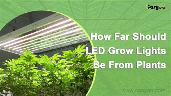How far should a 600 watt light be from plants?