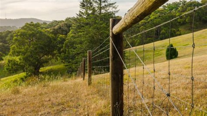 How long is a roll of field fence