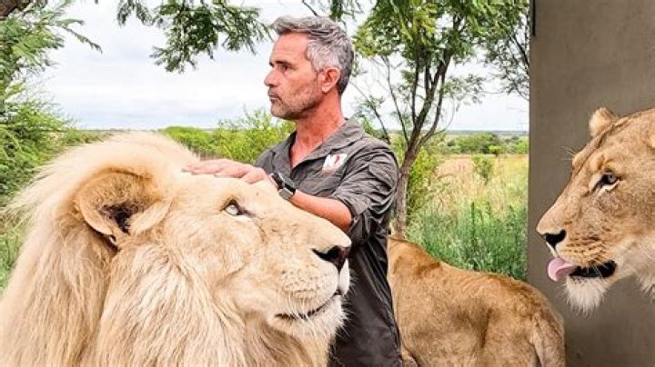 How many lions does Kevin Richardson have?