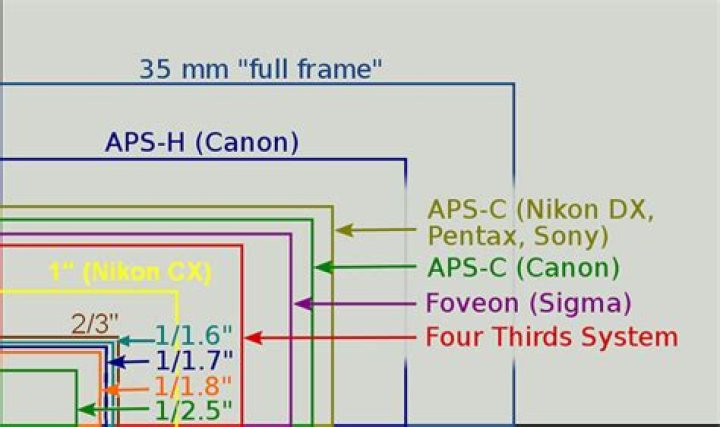 How many megapixels does the Nikon J1 have?