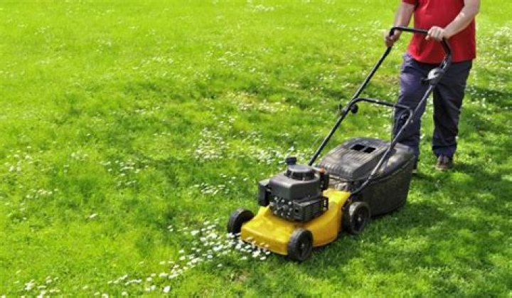 How many miles do you walk mowing the lawn?