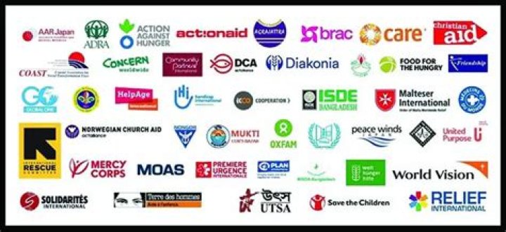 How many NGOs are there in Bangladesh?