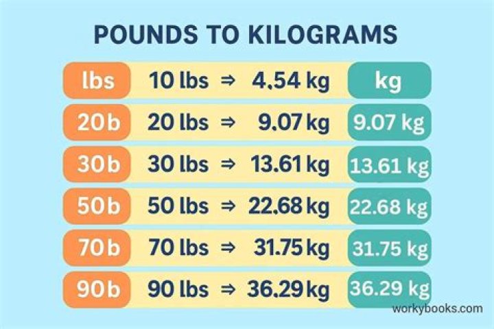 How many pounds is a scoop of DE?