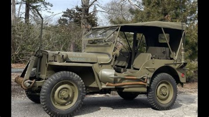 How many Willys are there?