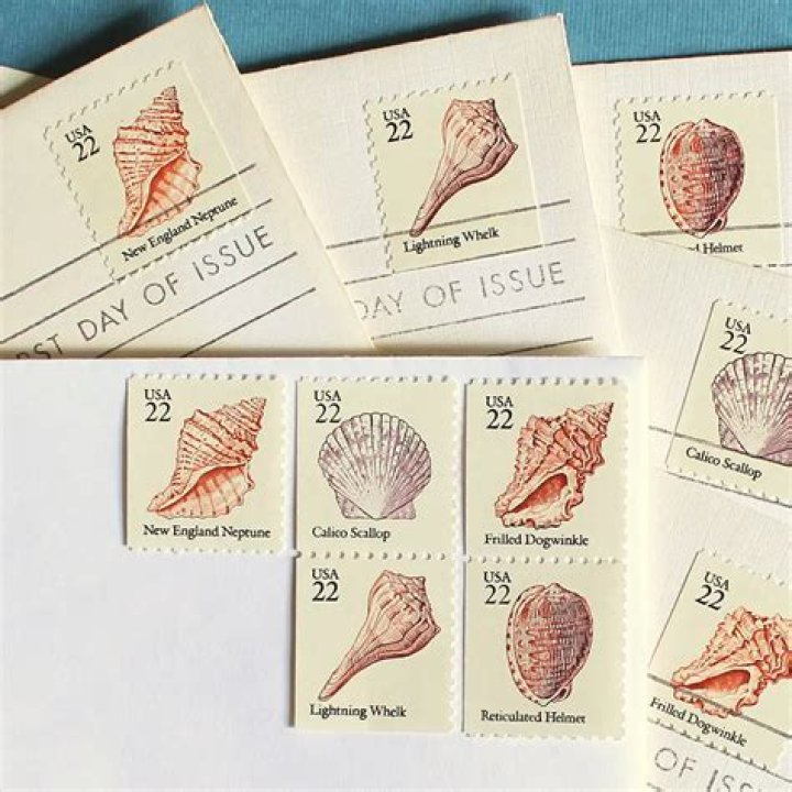 How much are the seashell stamps worth?