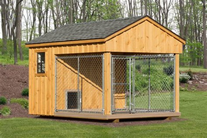 How much do dog kennels charge?