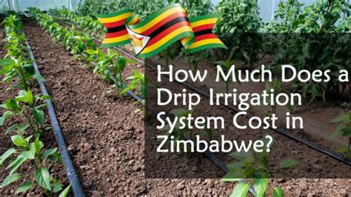 How much does a drip irrigation system cost?