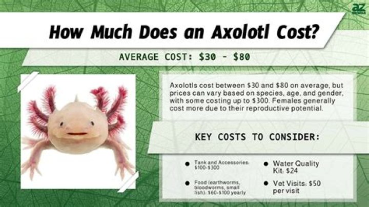 How much does a pedicab cost?