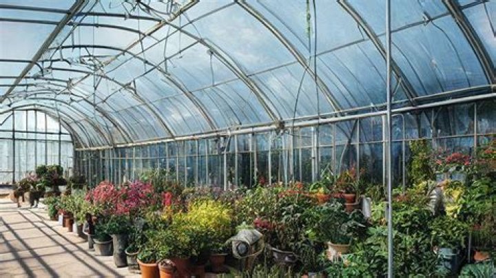 How much does greenhouse cost in India?