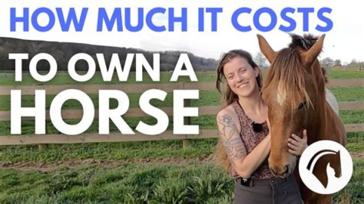How much does it cost to own a horse NZ?
