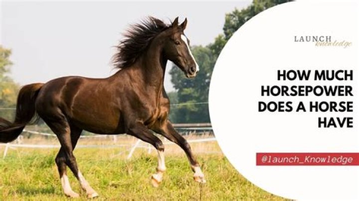 How much horsepower does a Gator-Tail have?