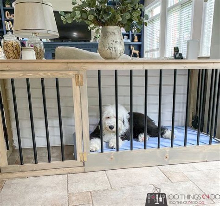 How much is a dog cage worth