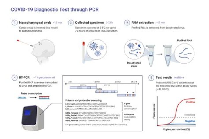 How much is RT PCR test in the Philippines?