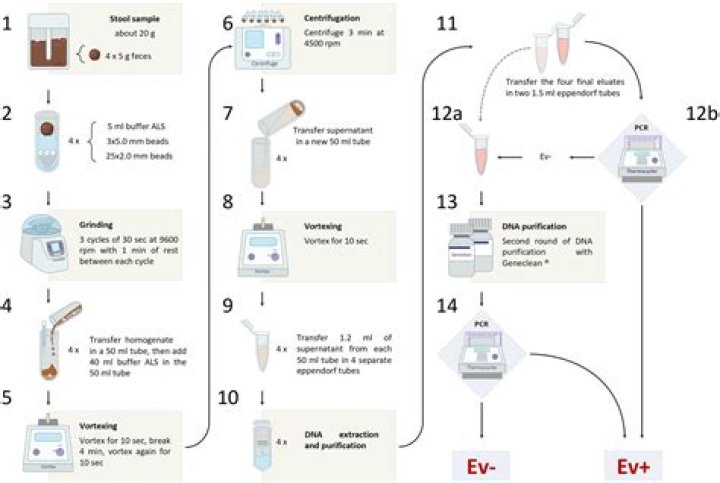How much the minimum recovery should be in swab sampling?