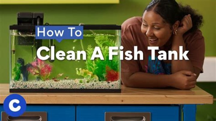 How often do you need to cycle your fish tank?