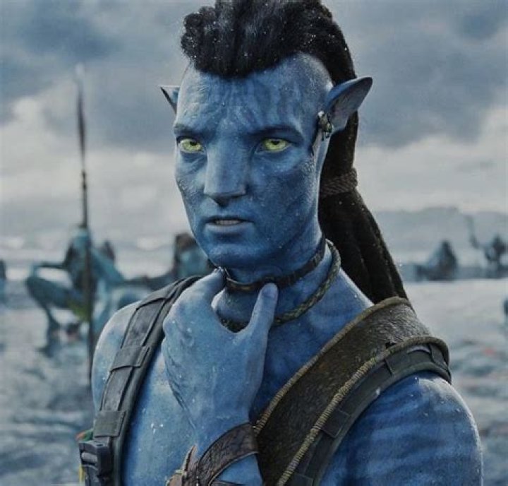 How old is Jake Sully?