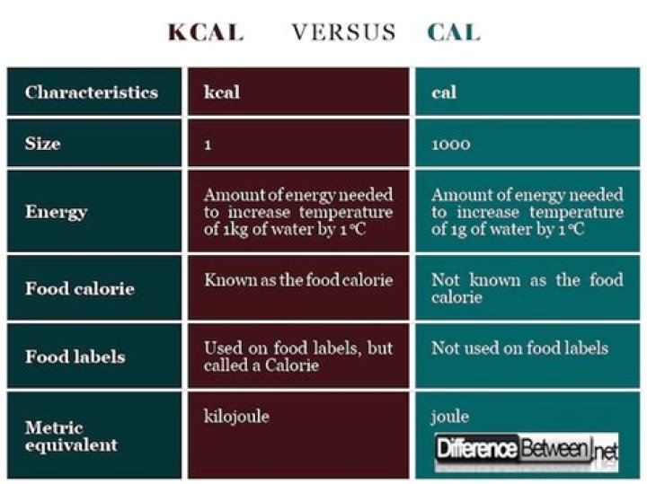 Is a kcal the same as a calorie?