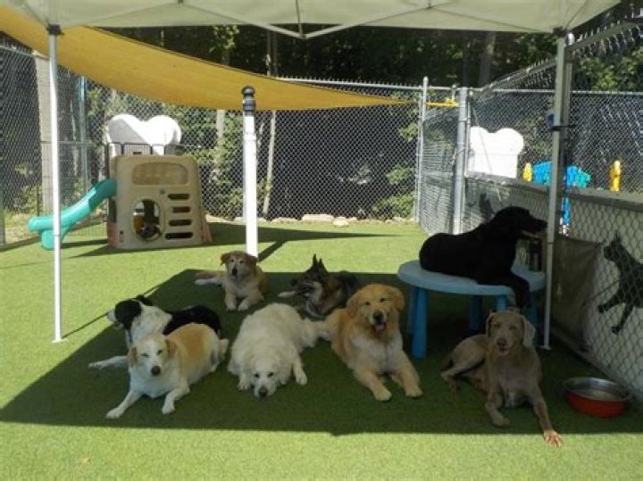 Is al bark kennels a puppy mill?