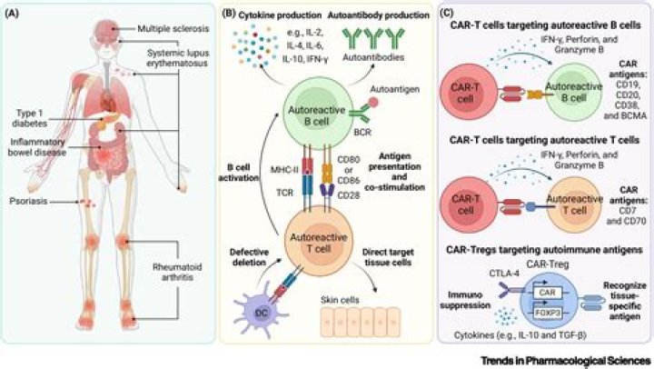 Is autophagy good for autoimmune diseases?
