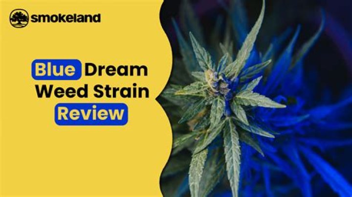 Is Blue Dream marijuana good for pain?