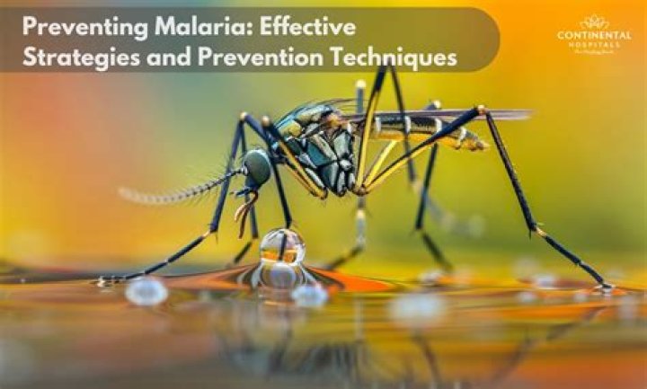 Is Blyde River Canyon a malaria area?