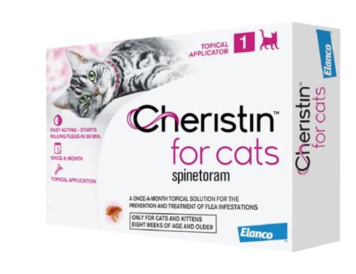 Is Cheristin safe for pregnant cats