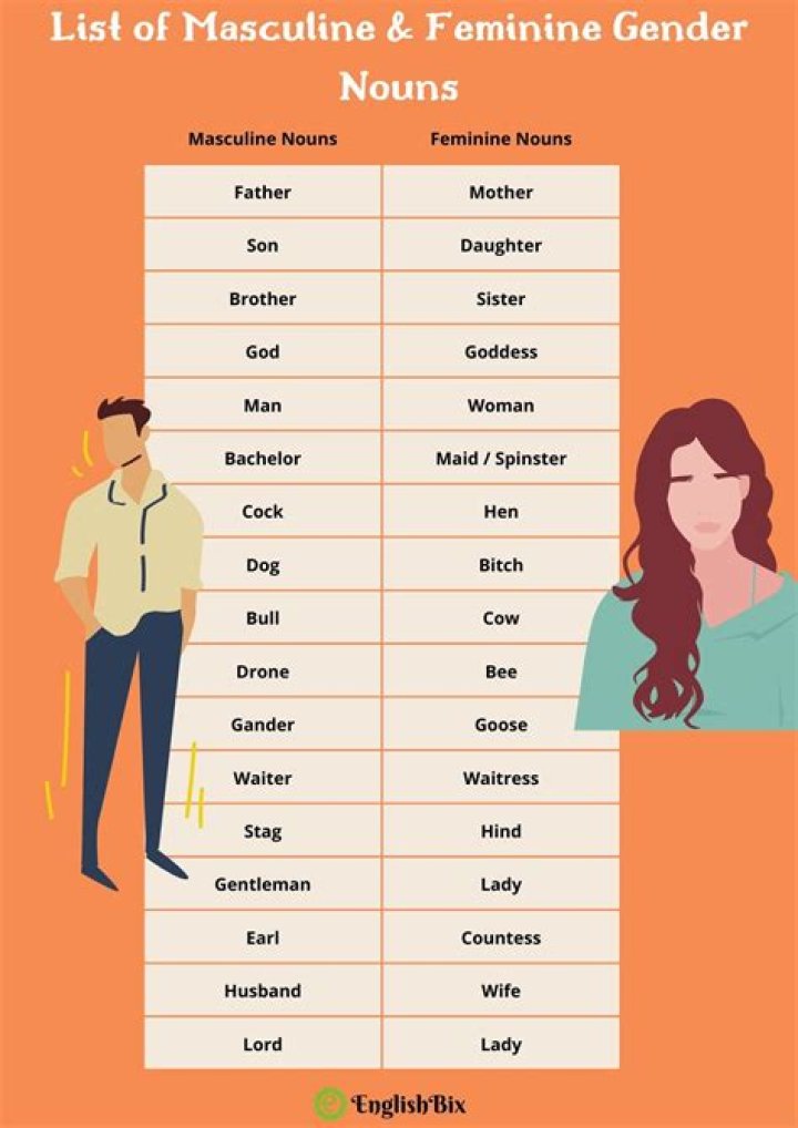 Is comptable masculine or feminine?