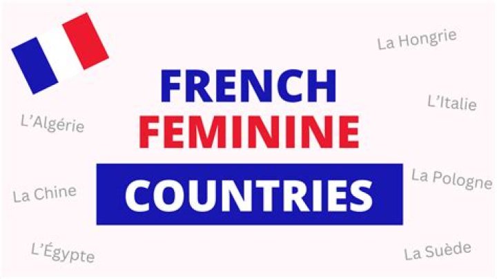 Is cuisine in French masculine or feminine?