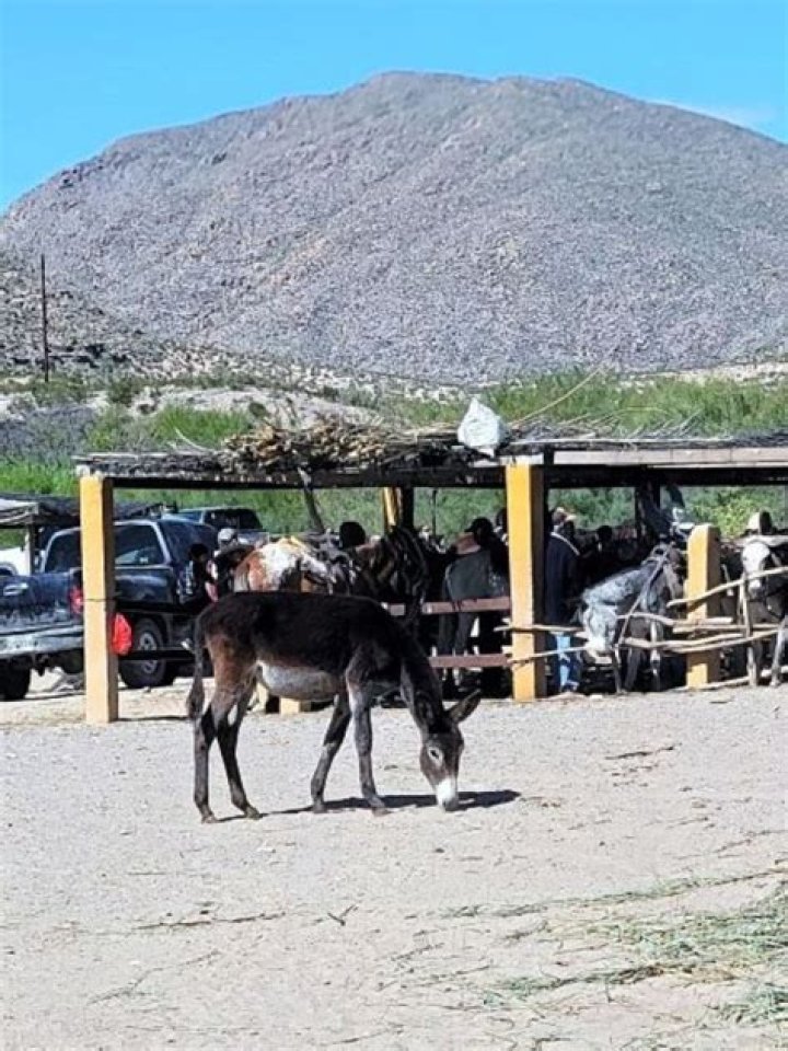 Is it safe to go to Boquillas Mexico?