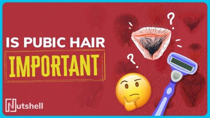 Is pubic hair important?