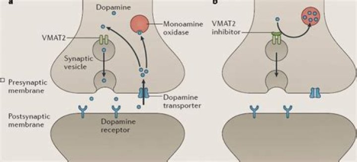 Is reserpine a VMAT2 inhibitor?