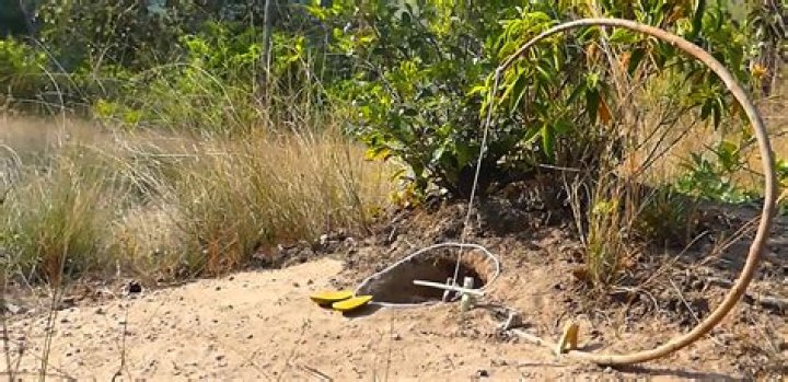Is snare trapping illegal?