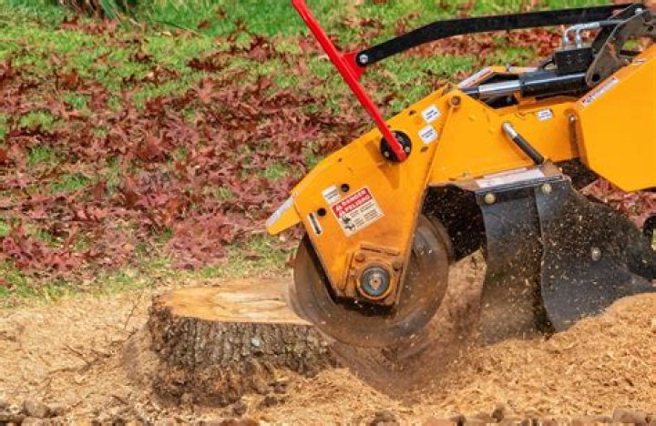 Is stump remover toxic?